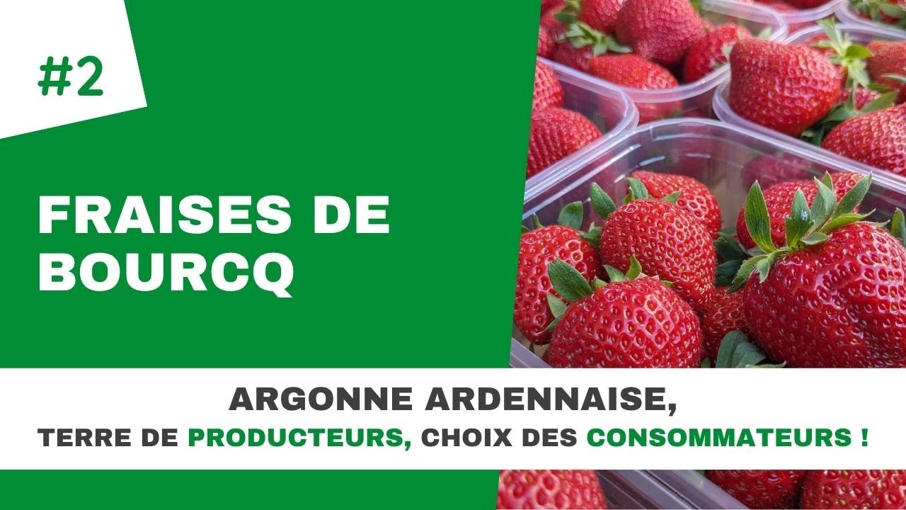 Portraits de producteurs #2 : Fraises de Bourcq, la qualit&eacute; au c&oelig;ur du fruit