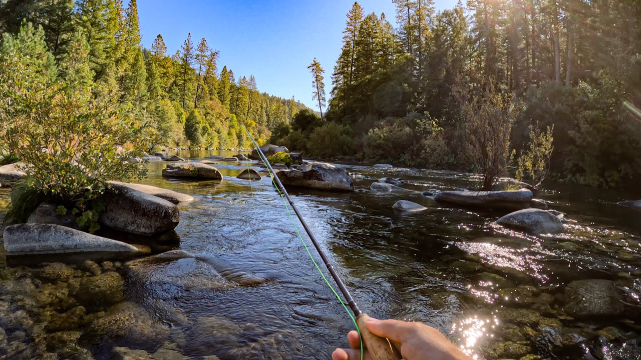 Fly Fishing The North Yuba River