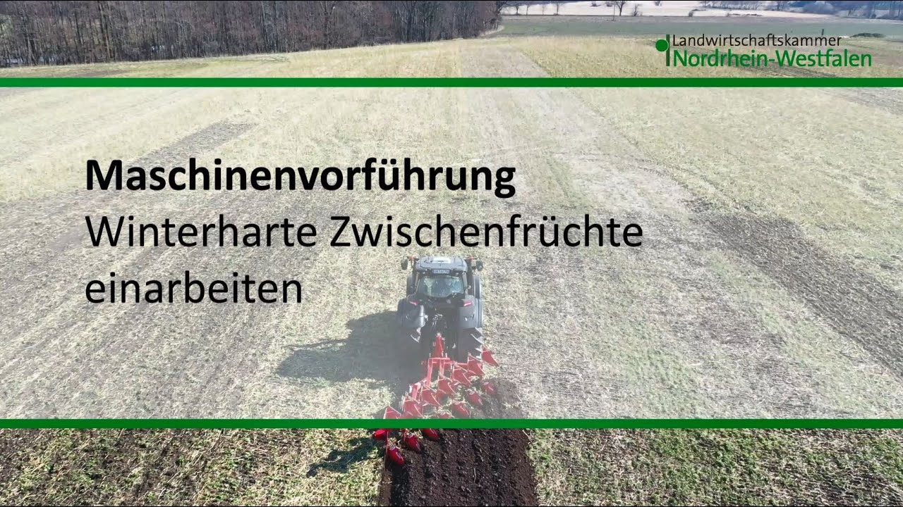 Maschinenvorführung: Winterharte Zwischenfrüchte einarbeiten