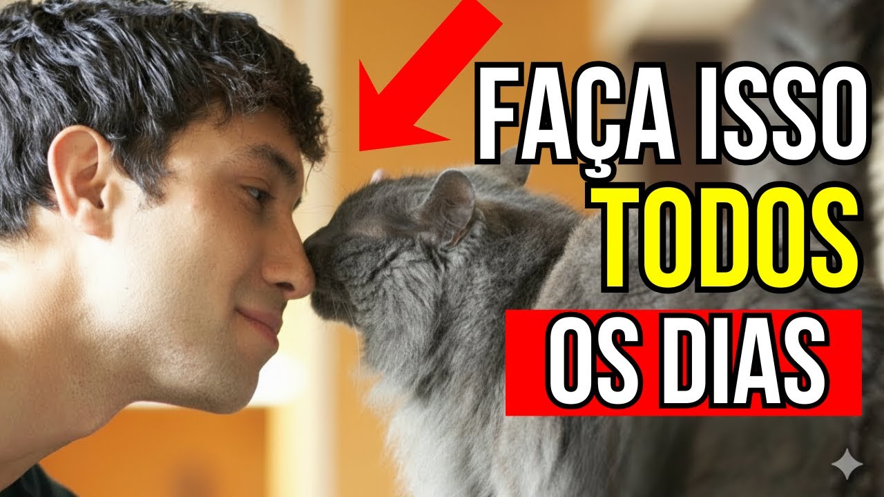 9 coisas que você quase nunca faz pelo seu gato, mas deveria fazer todos os dias