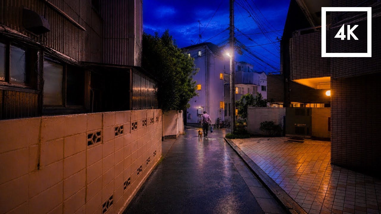Blue Hour Walk in Tokyo | Relaxing Japan Street Atmosphere in 4K HDR