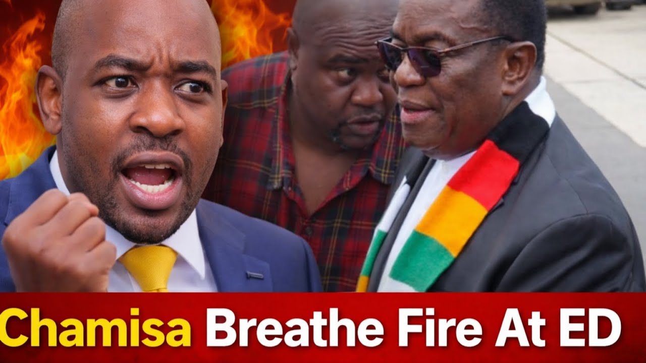 Chamisa Rallies Zimbabweans to Stand for the Constitution