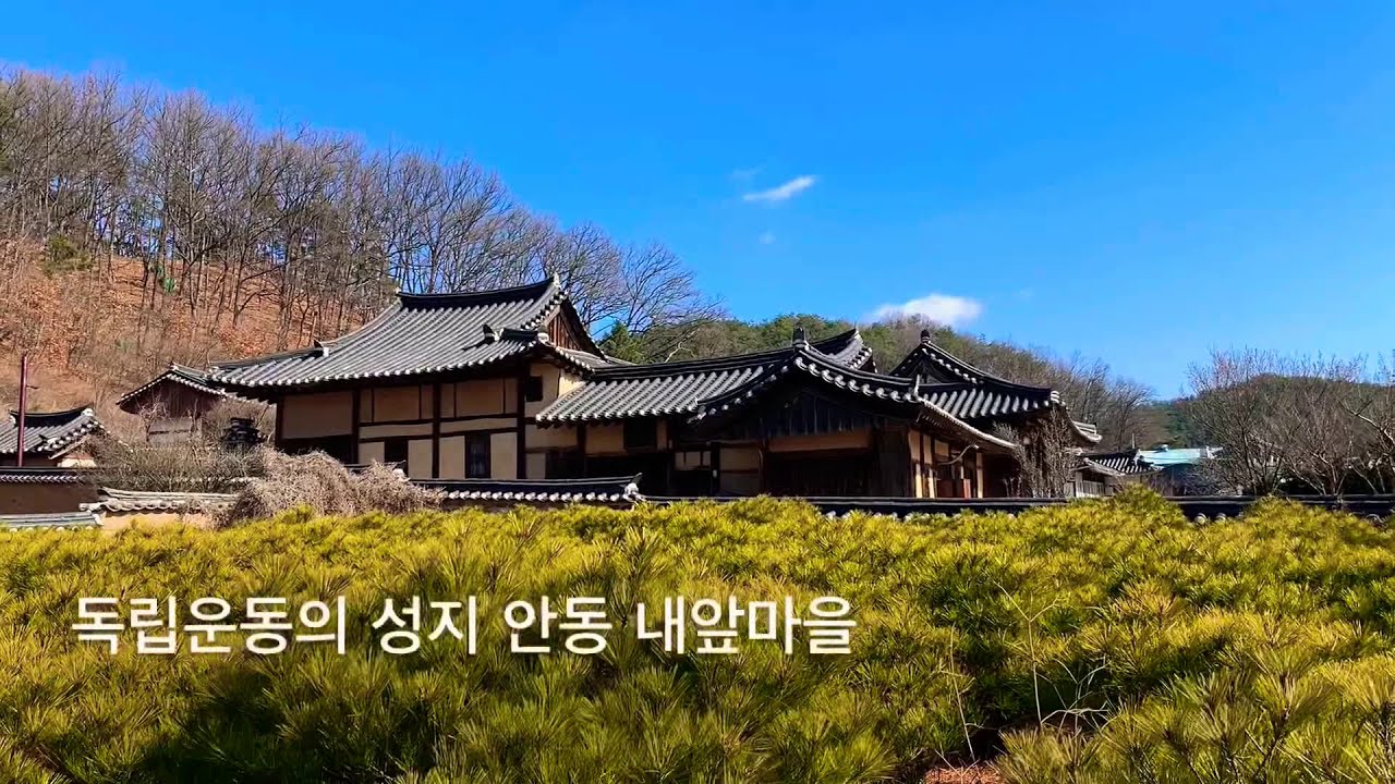 독립운동의 발상지 안동 내앞마을은 영남의 4대 길지로 꼽히는 의성김씨 동성마을
