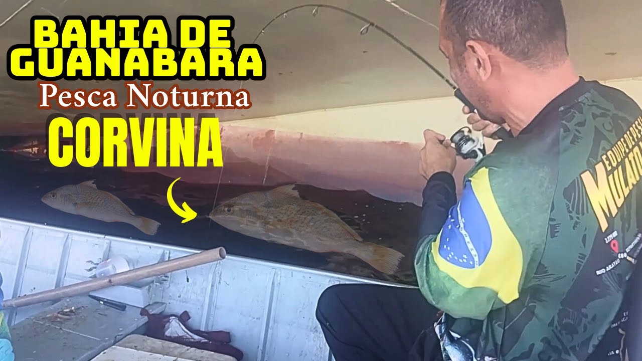 PESCA RAIZ CORVINA, ANCHOVA PESCA NOTORNA Bahia de Guanabara.