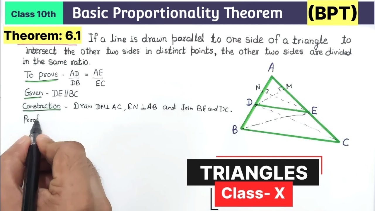 Class 10th Chapter 6 Triangles Theorem 6.1 Basic Proportionality Theorem | BPT class 10 NCERT thales