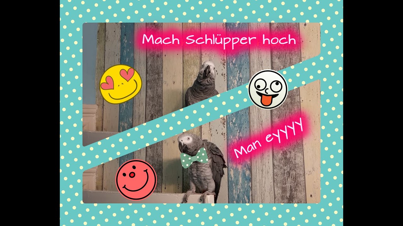 Lilo allet scheiße