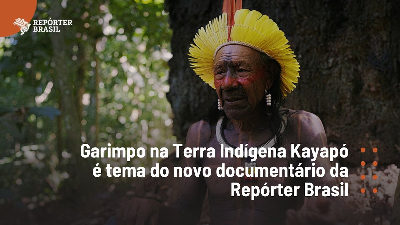 A floresta Kayapó em pé - Bá Kájmã Ãm