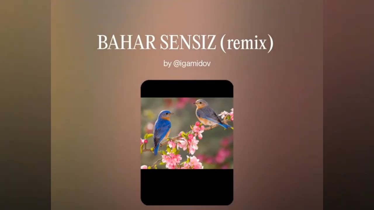 Bahar sənsiz (cover) Azerbaijani  🎵 