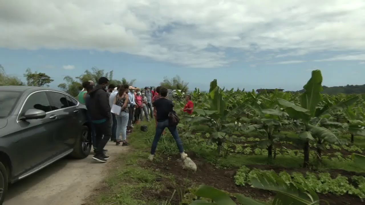 Visite de la Ferme du Morne Capot