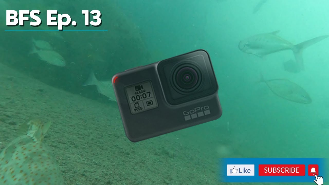 Dropping a GoPro under a Dubai kayak fishing bridge (insane)