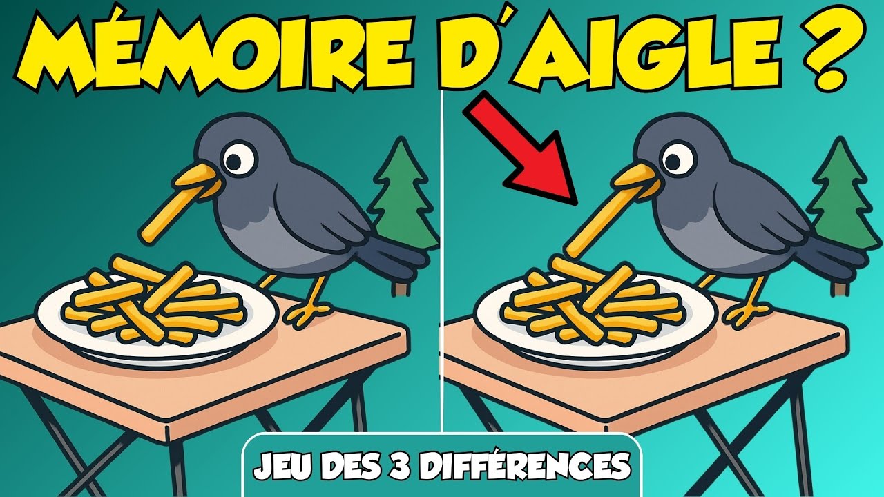 🦅 Trouve les 3 Différences (Test d'Observation)