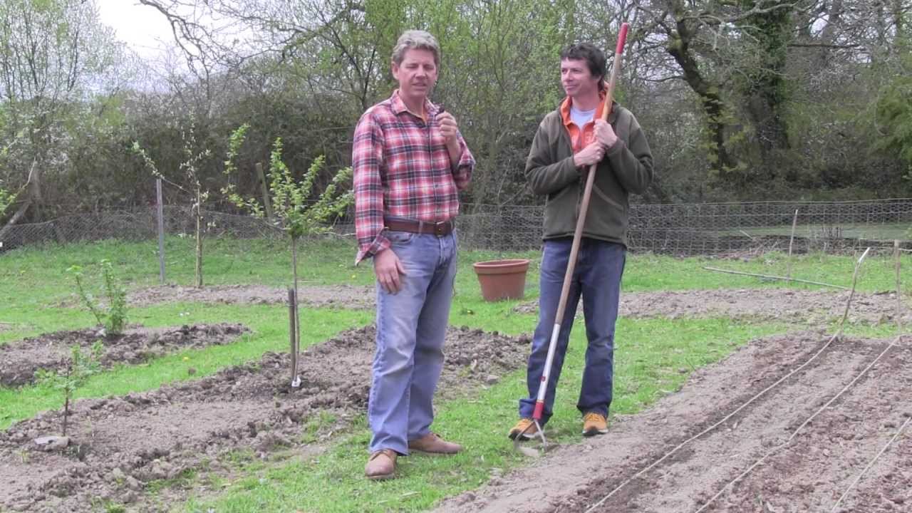 HOW TO GROW FLOWERS WITH HIGGLEDY GARDEN.COM