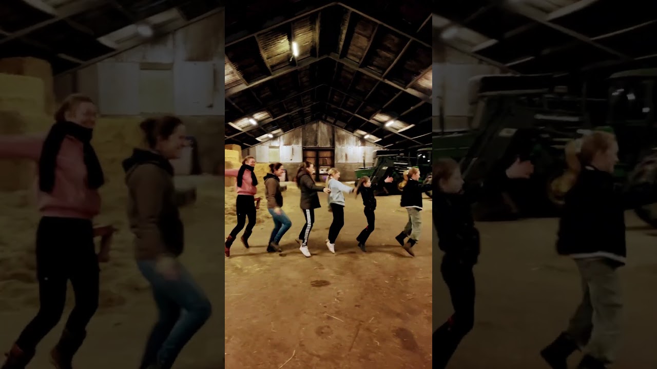 Fun op stal !!! Fireball !! #fireball #dance #horses
