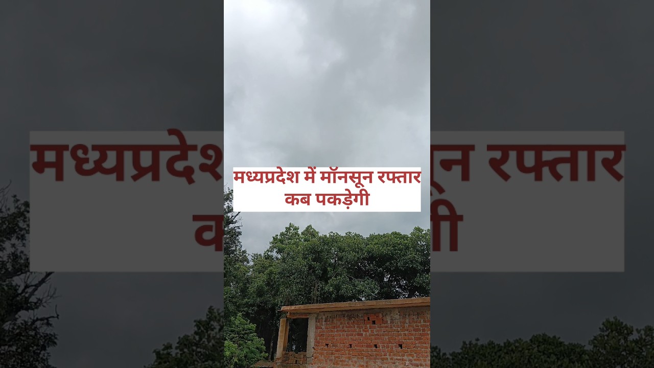 Mp monsoon weather update and todat weather 5 august #shorts #monsoon