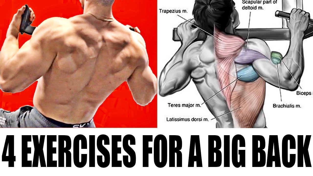 4 Exercises For A Big Back! | Training with Josh's dad &ldquo;Pops