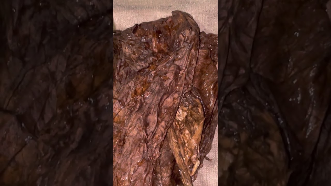 Cleaned fronto leaves before  Processed to Grabba  &ldquo;Rollinz Grabba&rdquo;