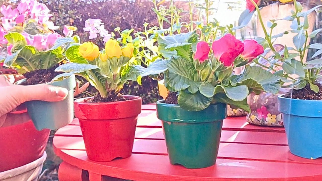 捨てる前に、塗り直す│古い植木鉢や家具の再生DIY 【猫と暮らす古い家】