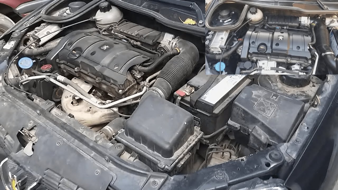 LAVANDO MOTOR PEUGEOT 206 CON MAQUINA VAPOR NEX... ¿SIRVE O NO?