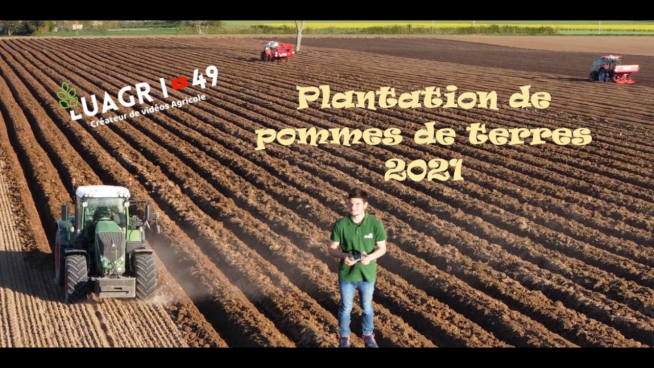 Plantation de pommes de terres 🥔| GRIMME |Case Maxxum 125 & 110🚜 | Kubota M7171🚜 | Fendt 826 🚜