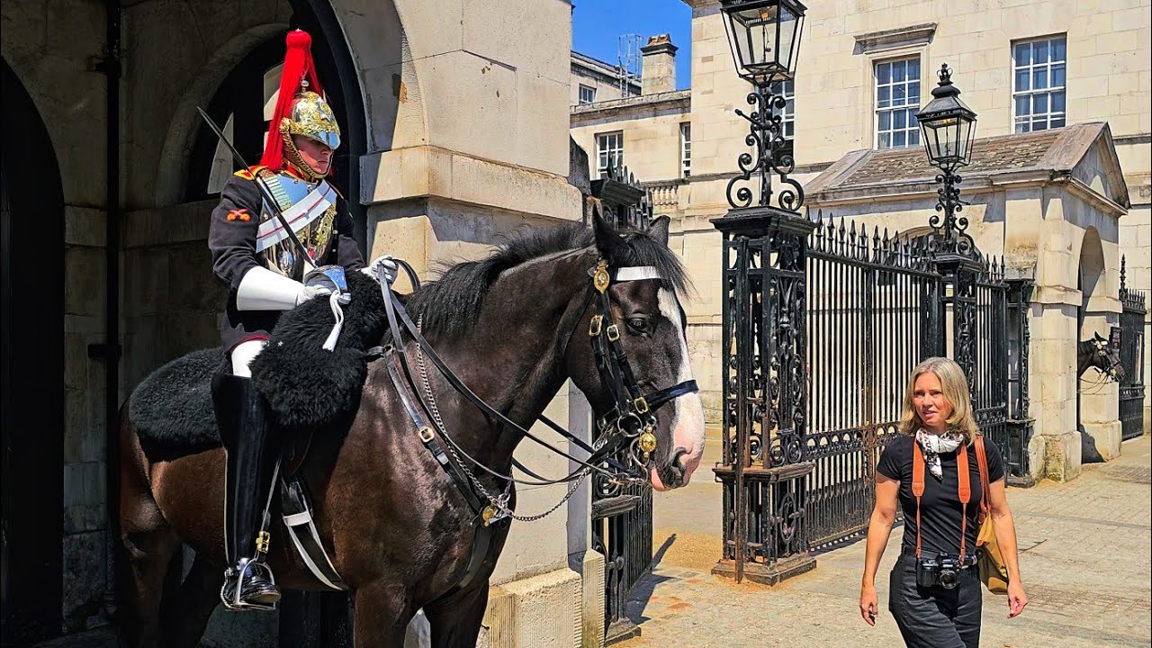 RUSSIAN TOURIST CRIES WHEN REALISING HER DREAM TO MEET THE KING'S HORSES at Horse Guards!