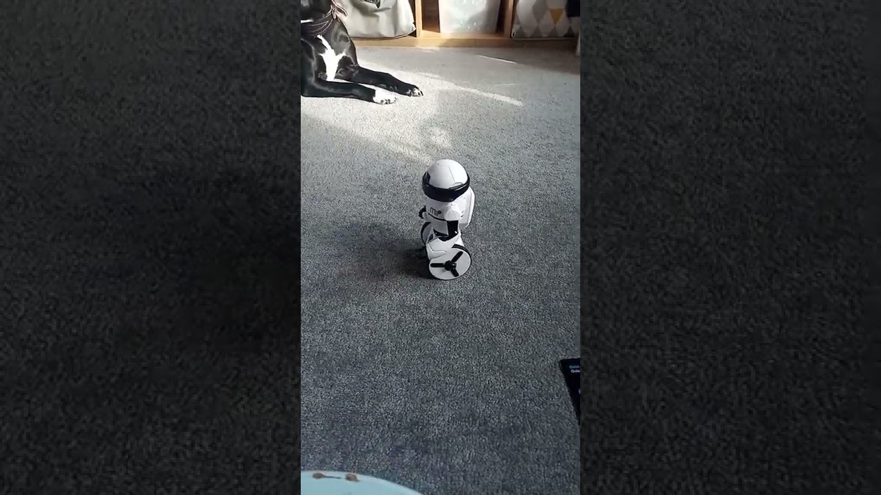 WowWee MIP balancing robot dance. #shorts
