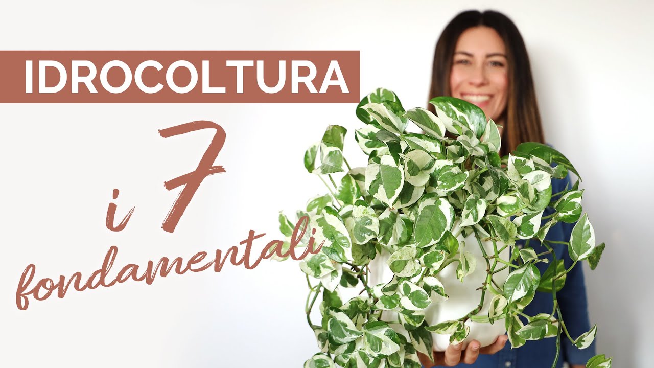 IDROCOLTURA: i segreti per coltivare piante sane senza terra