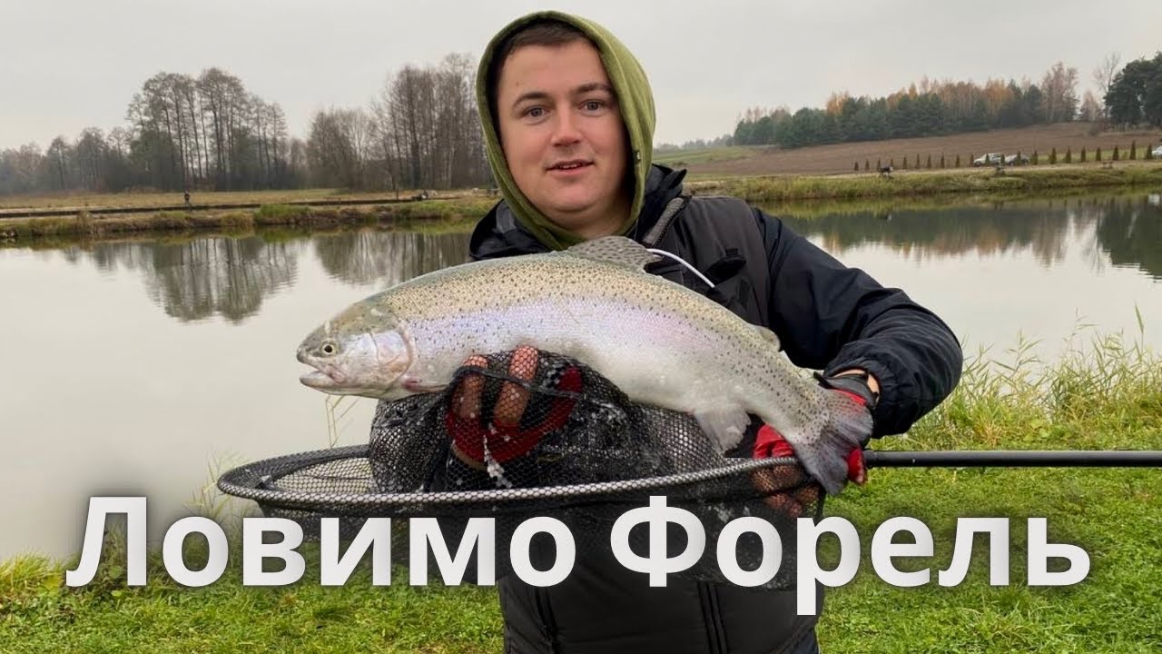 Ловимо ФОРЕЛЬ у ПОЛЬЩІ. Приватний ставок.