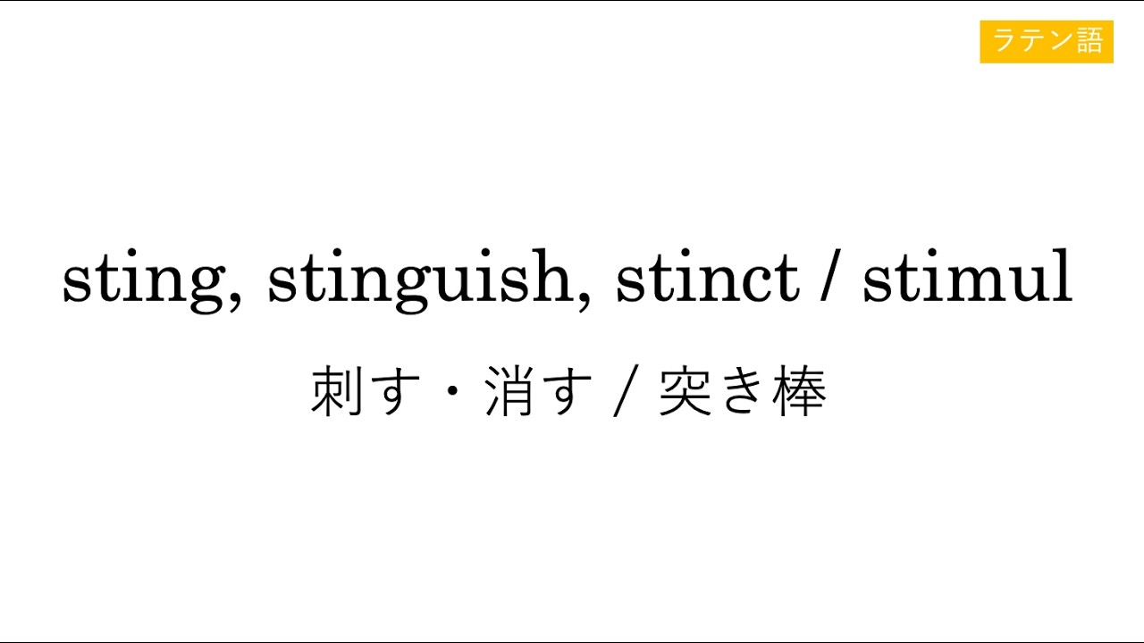 sting, stinguish, stinct / stimul