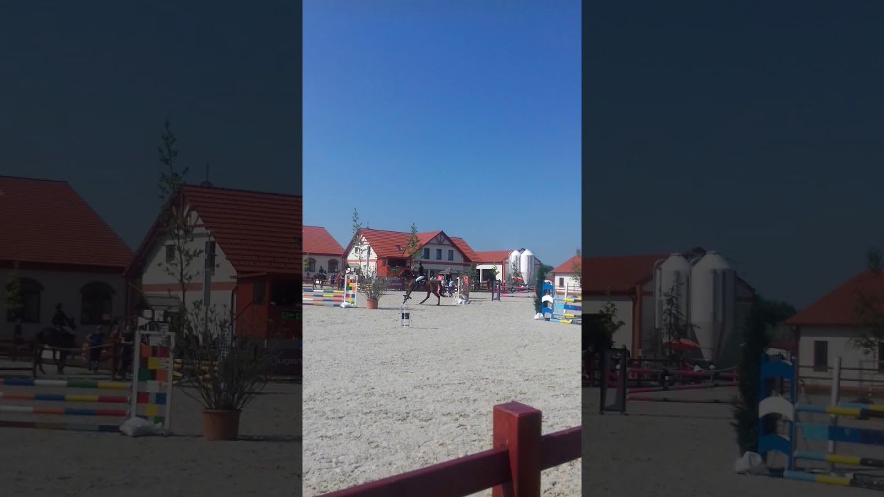 sz&aacute;zszorsz&eacute;p lovask&ouml;zpont 80-90 cm