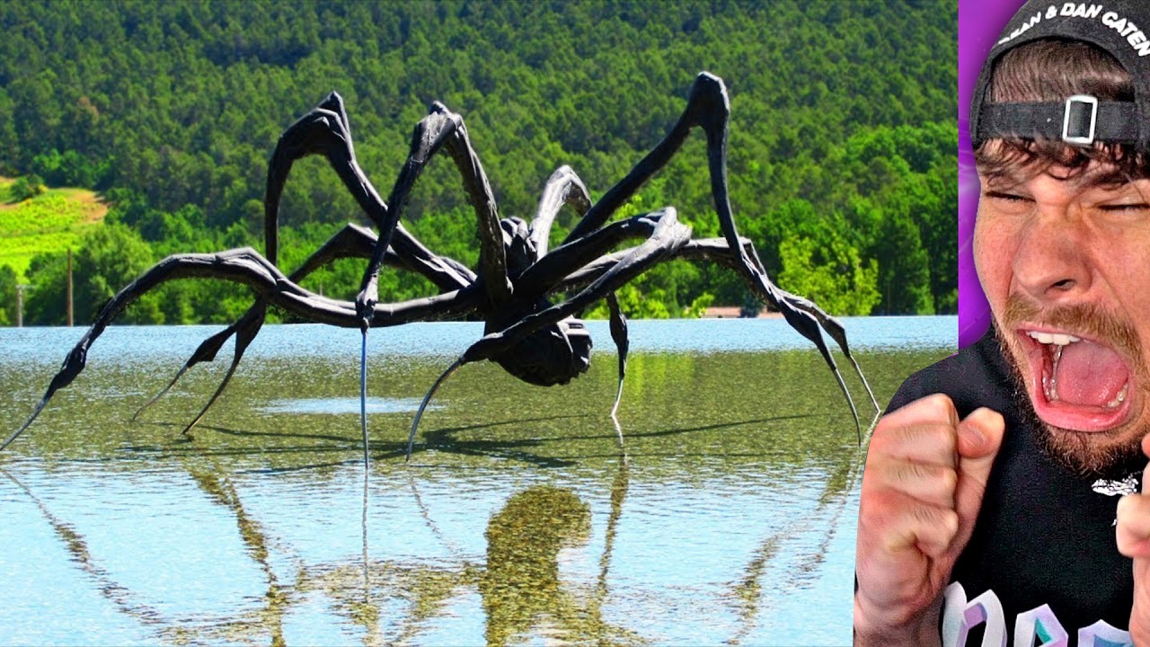 riesen spinne aus der hölle..