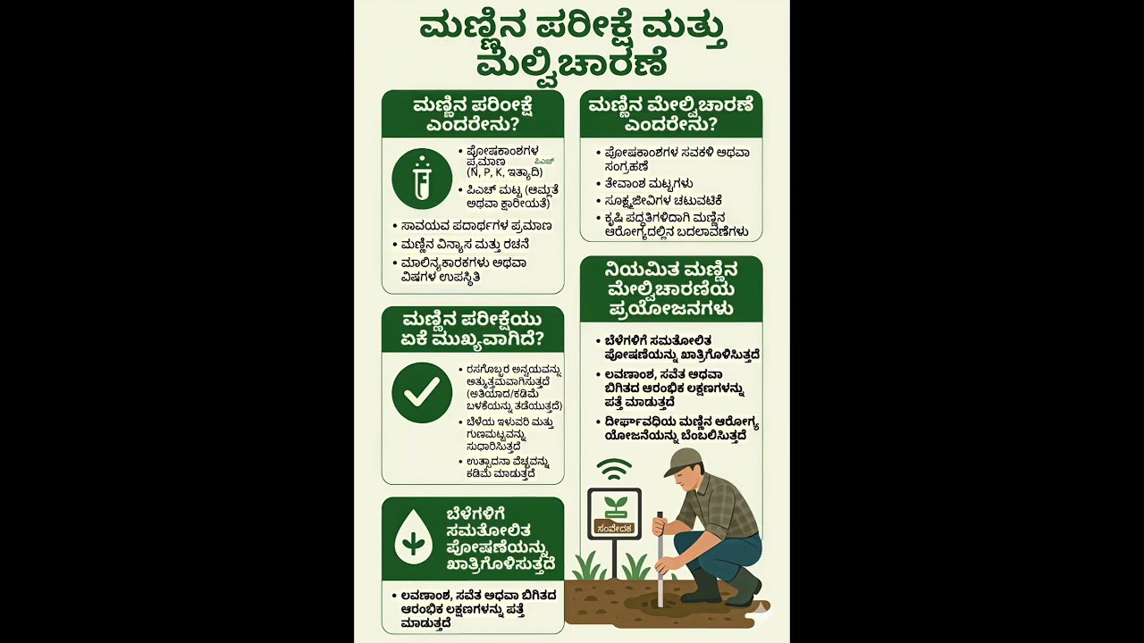 ಮಣ್ಣಿನ ಪರೀಕ್ಷೆ #lifeisbutadream #arecanutfarming #agriculture