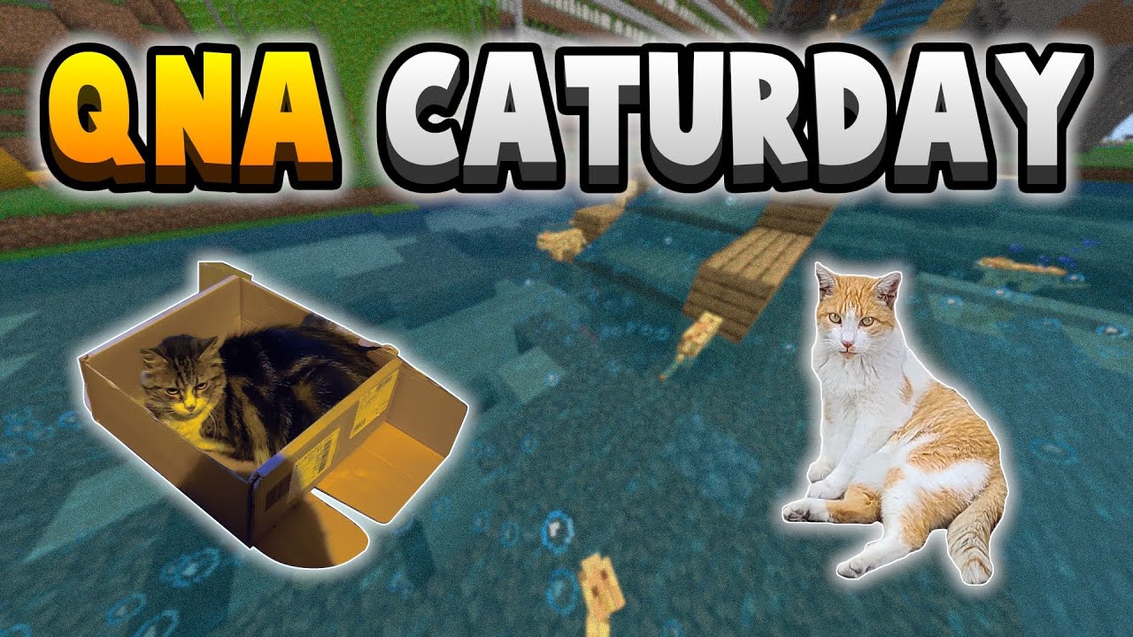 Happy Caturday! Should Minecraft Have Natural Disasters?