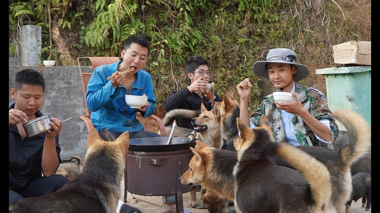 华农兄弟：挖到2个大竹笋，庆祝一下，抓只兄弟家的鸭来炖