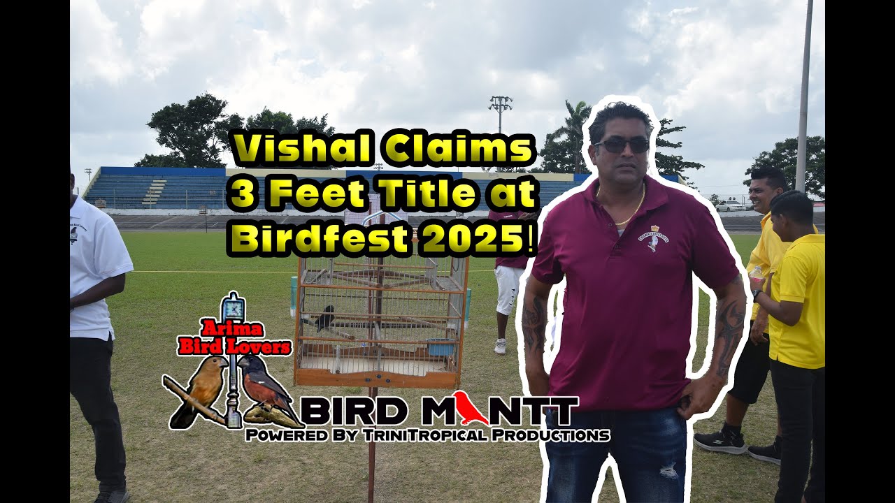 Birdfest 2025 Delivers as Vishal Takes 3 Feet Crown! 🌍Bullfinch, Curio, Towa Towa