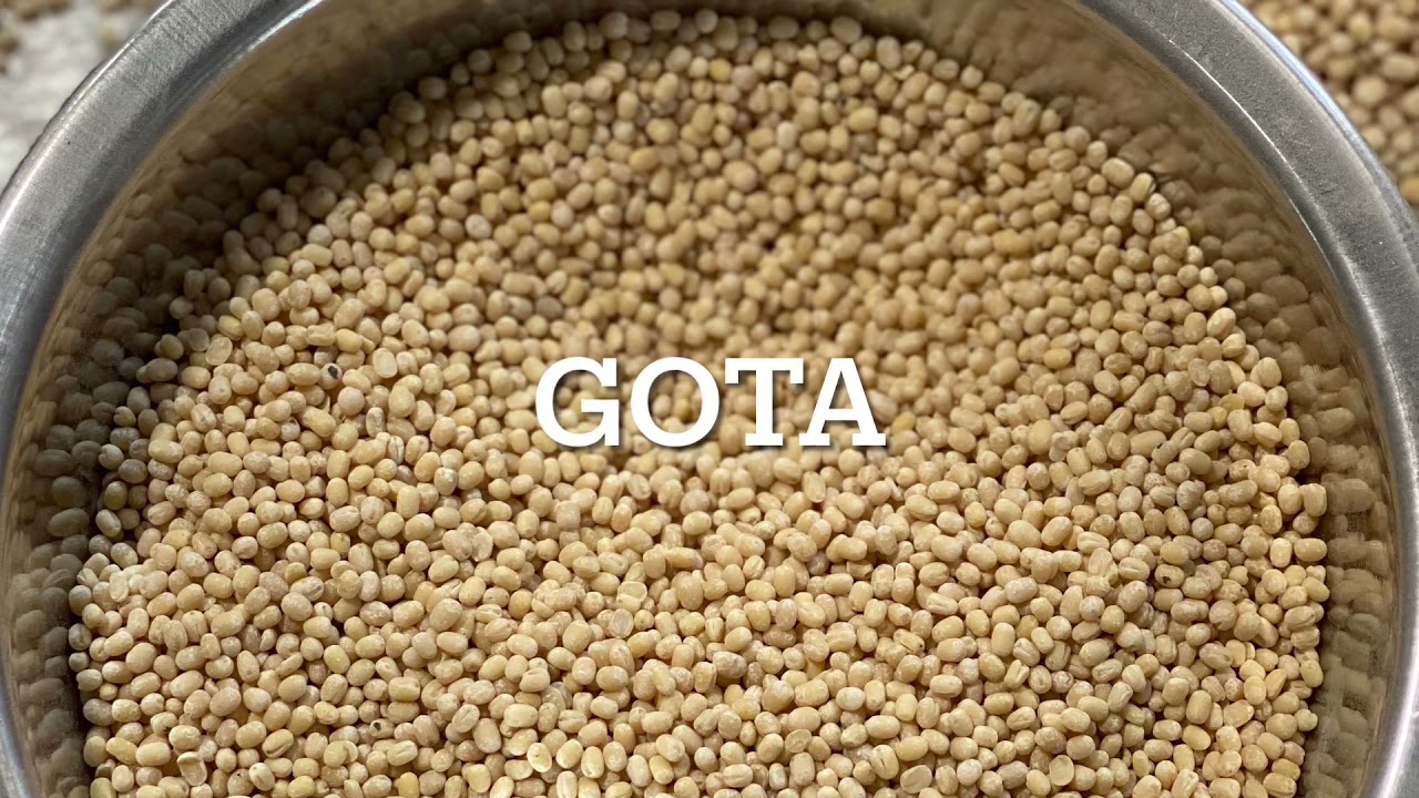 Urad gota/ Dall Processing plant by Nice Engineering works