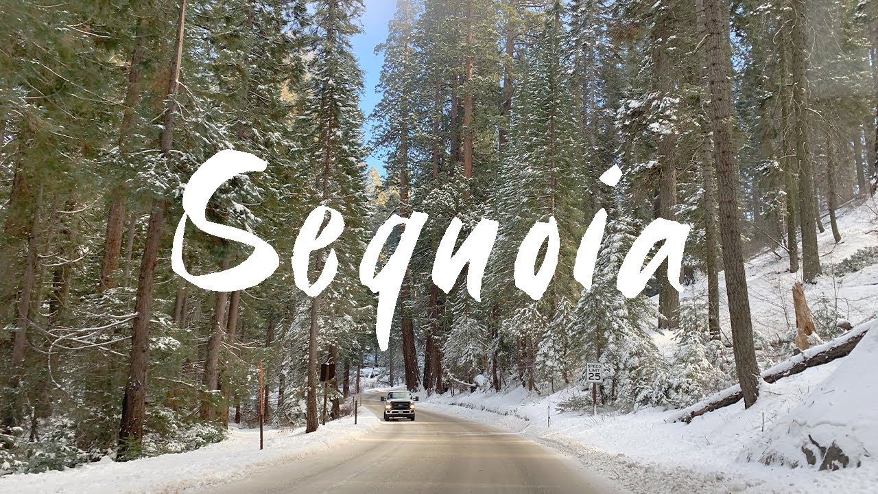 How I Travel From Los Angeles To Sequoia - Part 1 (Bmpcc 4k) | Travel Vlog | Weekly Vlog