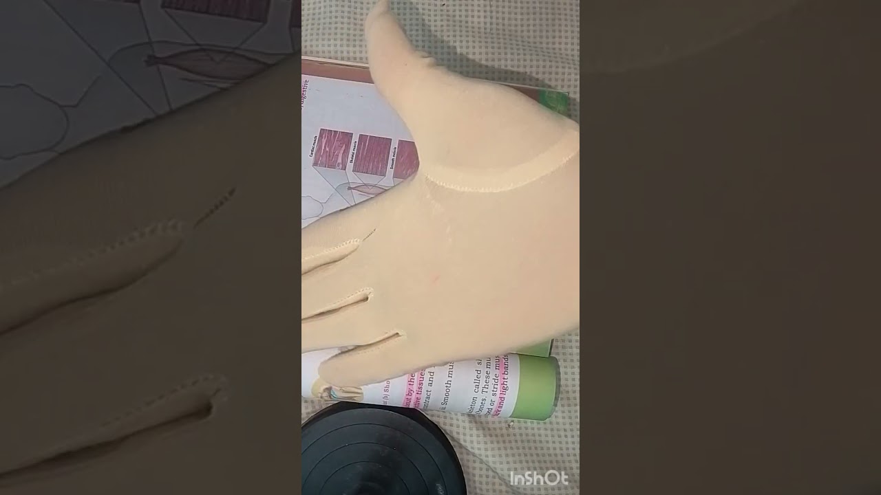 Muscles by prof memona #best #1million #famous #1000subscriber 