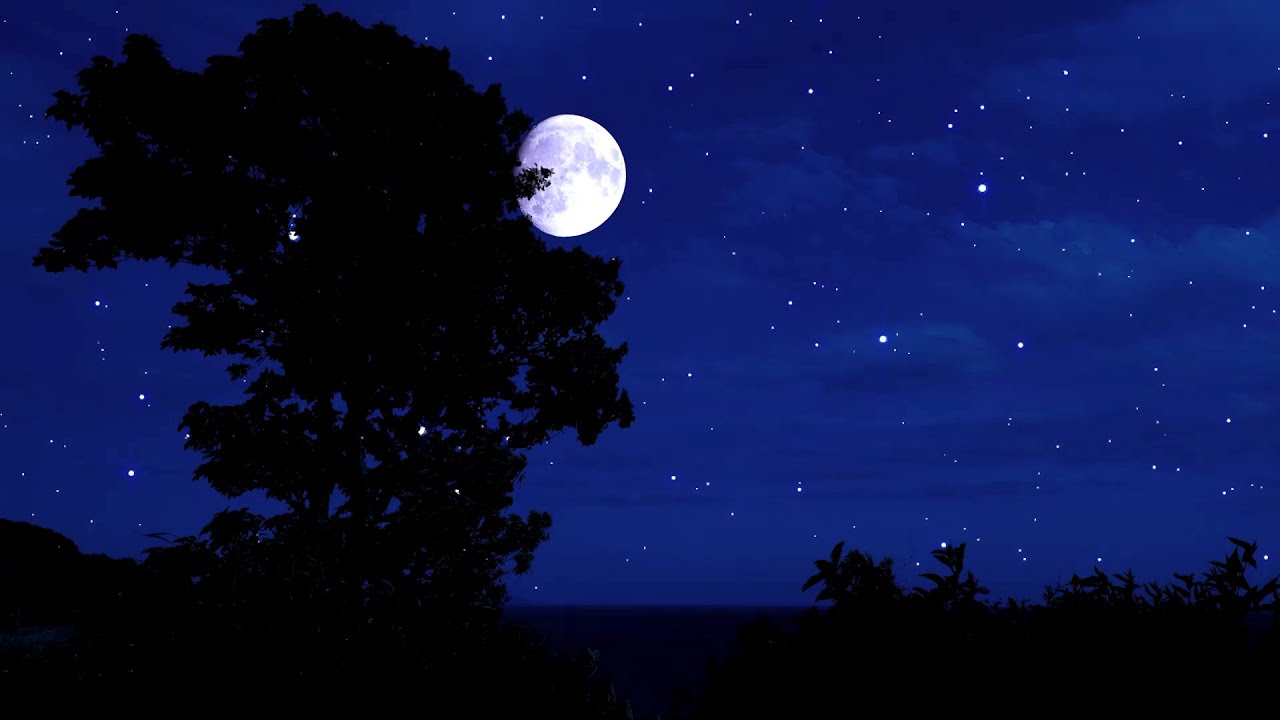 Cricket Conversations | Breezy Autumn Night | 10 Hours | Nature Sleep Sounds