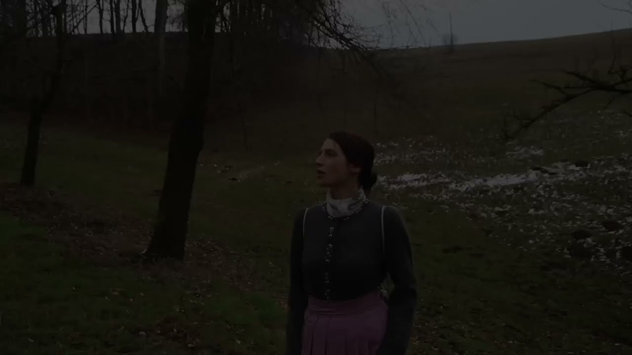 IN CIMA NON CI SONO FIORI - TRAILER