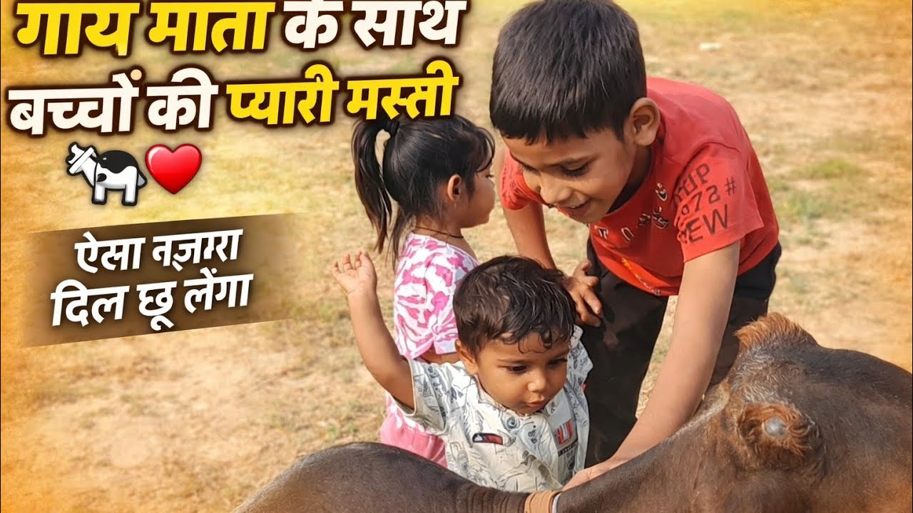 गाय माता के साथ बच्चों ने की मस्ती ऐसा नजारा जो दिल को छूलगा। Gaon ka desi blog