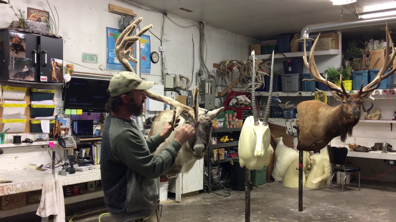 Detachable Antlers Demo