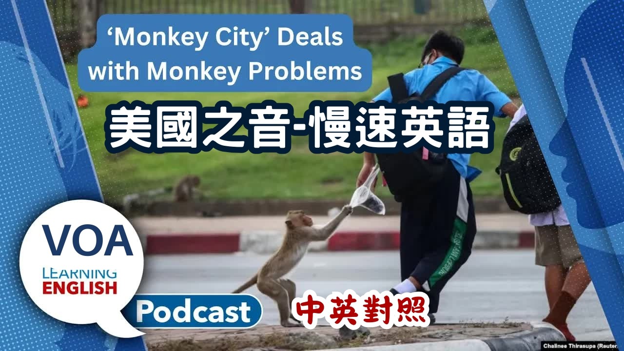 美國之音｜慢速英語 Podcast｜Monkey City, Sake making, Bluesky, Modals｜中英對照 | English Podcast