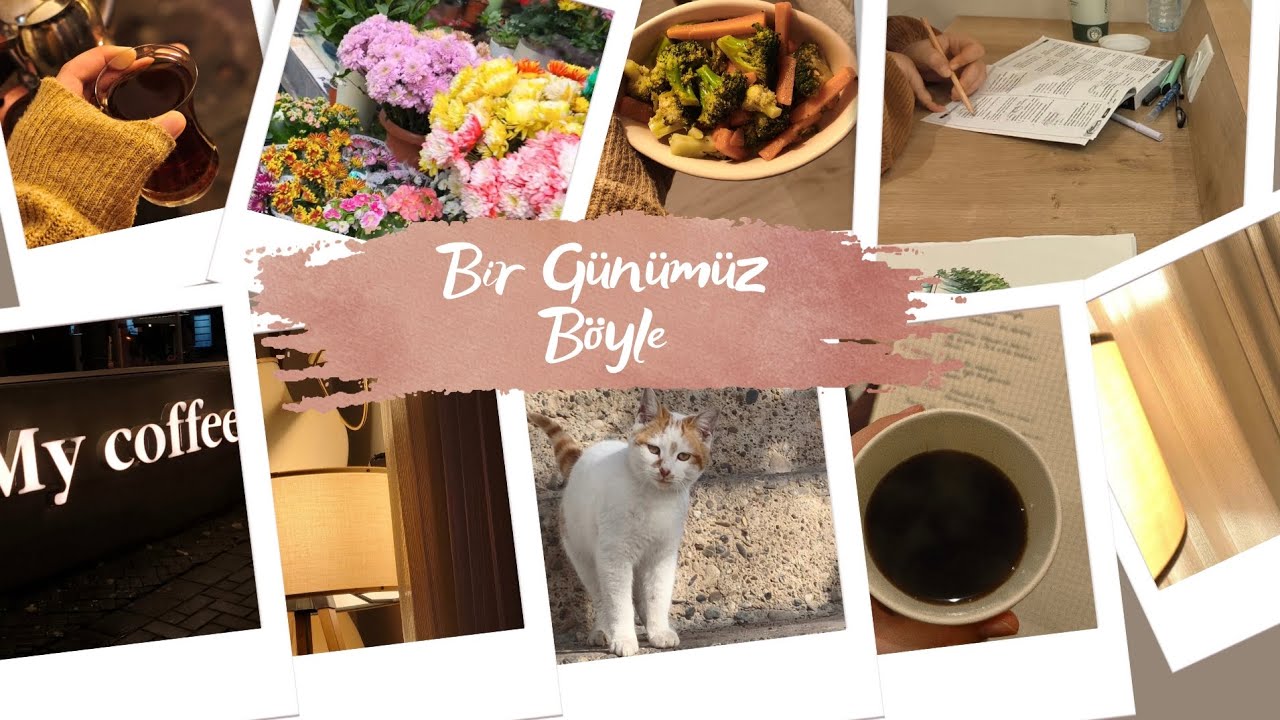 BİR GÜNLÜK KÖY MOLASI 🐈ŞEHİR MERKEZİNE GİDİYORUZ 🚗
