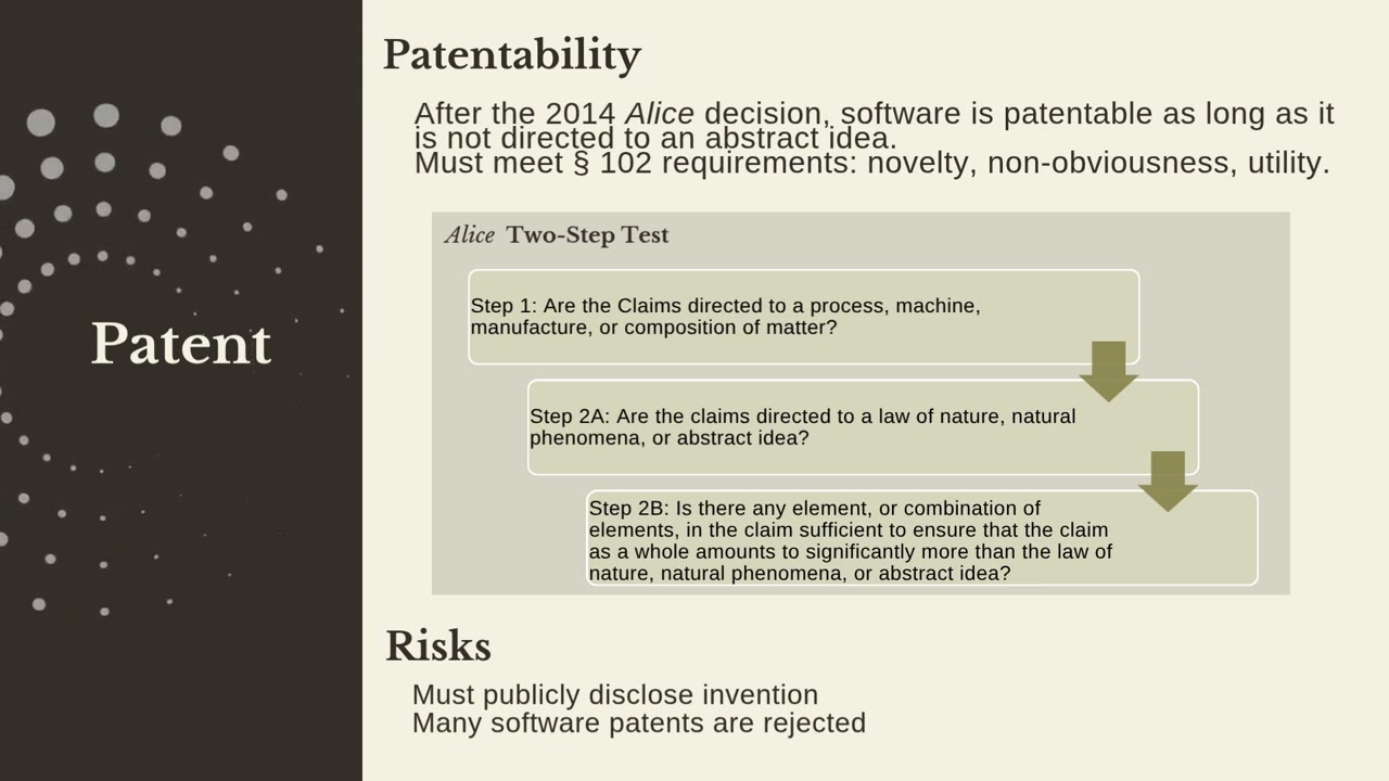 IP Strategies for Software Protection