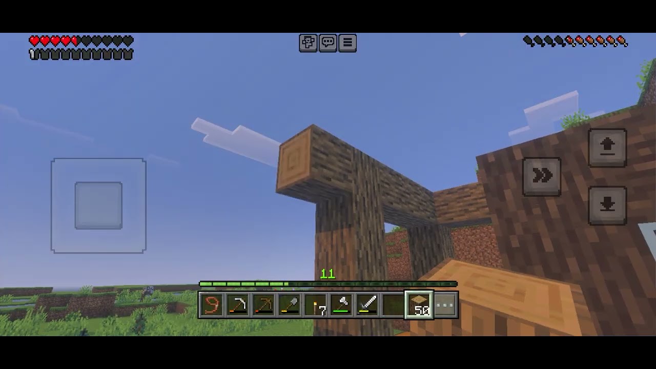 Minecraft p-4 