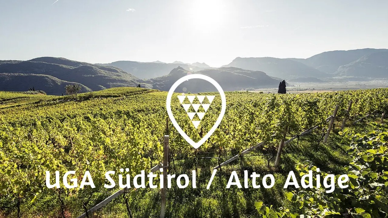 Wines from designated geographical units in Alto Adige
