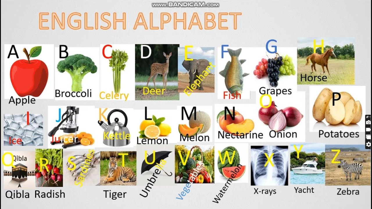 من الصفر إلى الاحتراف في اللغة الإنجليزية