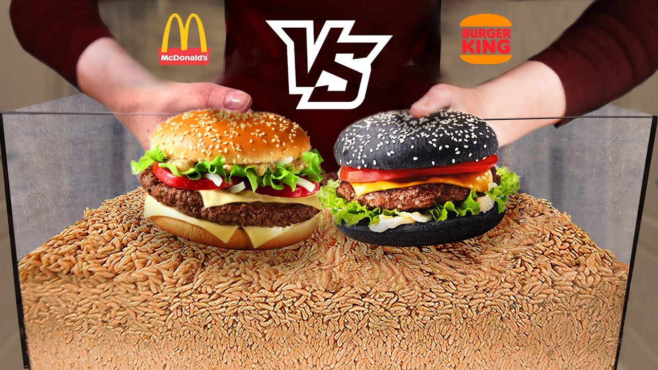 Burger Challenge -- Which burger will the maggots eat faster: MacDonald's VS Burger King?