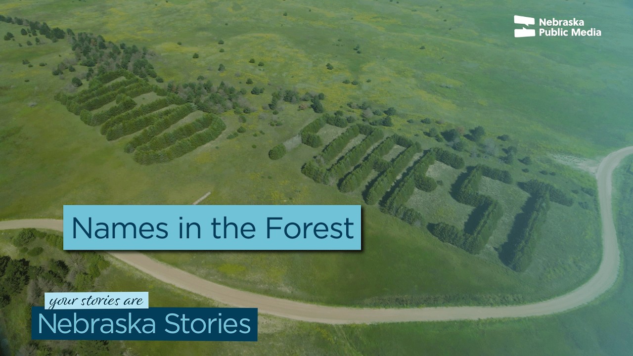 These Trees Spell Out A Legacy | Nebraska Stories