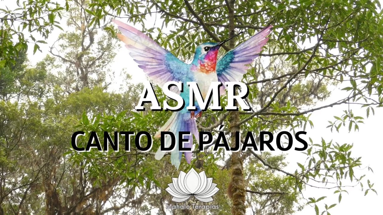ASMR | Canto de Pájaros | Sonido Natural para Relajación, Descanso y Ambiente